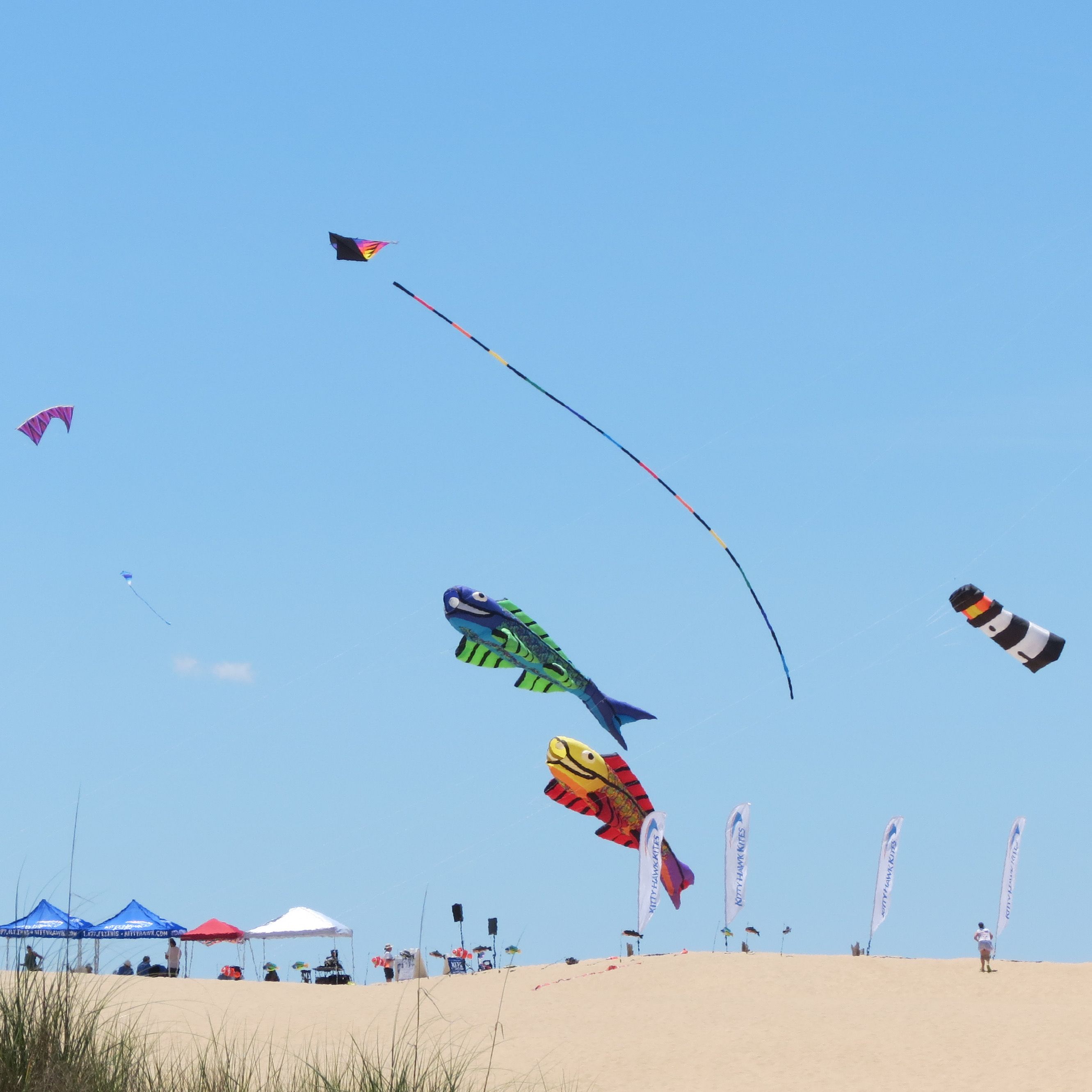 (Pumpkin) Spice Up Your Fall with These OBX Events Sun Realty